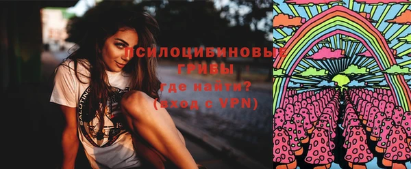 2c-b Куйбышев