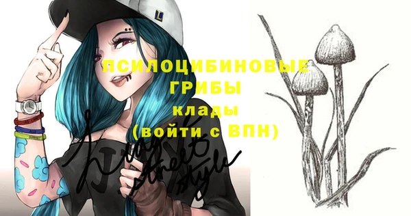 apvp Кулебаки