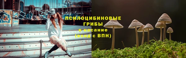2c-b Куйбышев